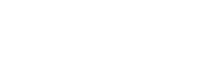 blu.print Consulting logo